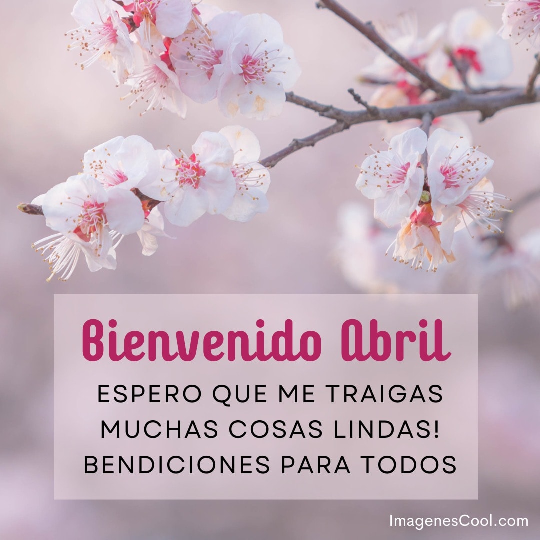 Flores de cerezo con un mensaje de bienvenida a abril y deseos de bendiciones