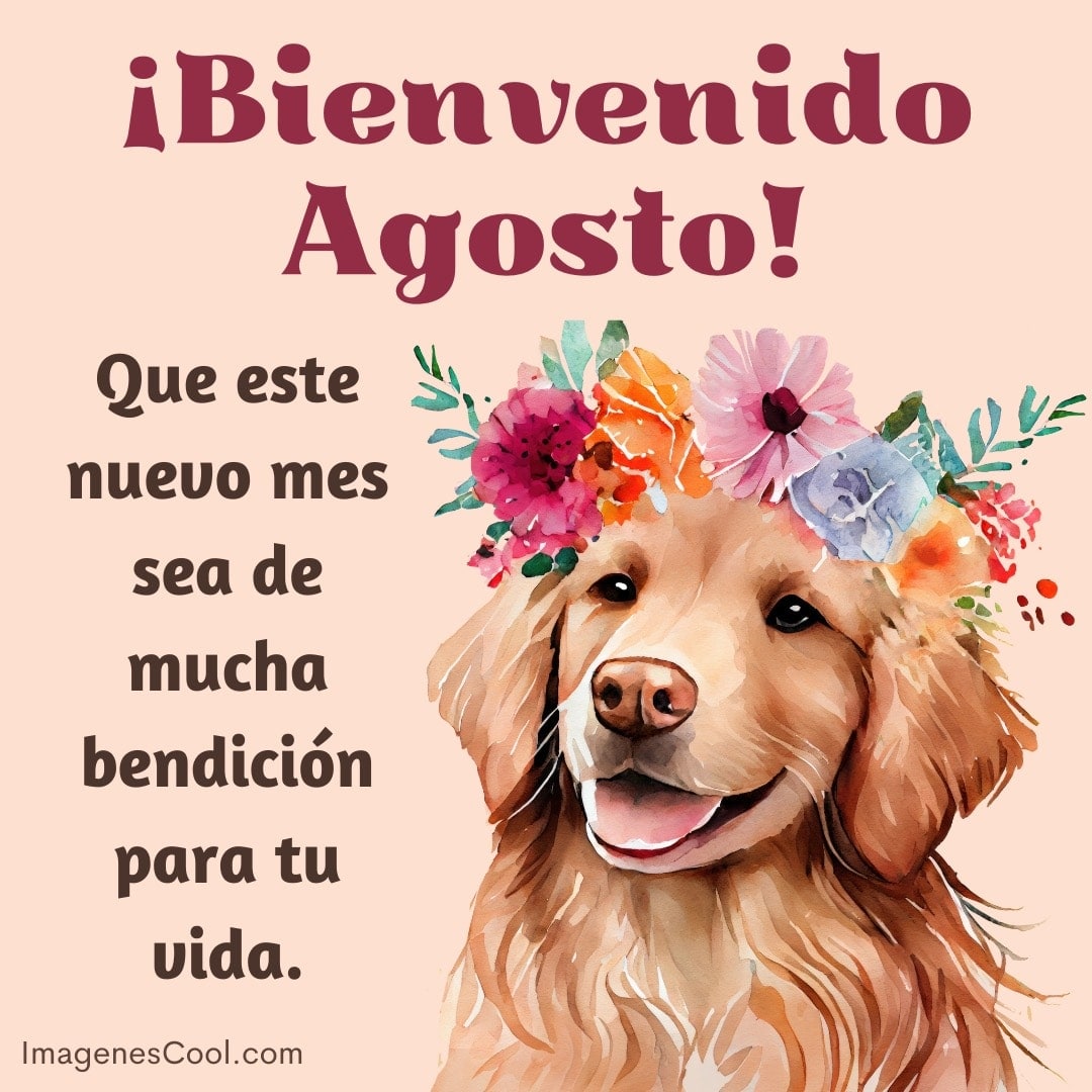 un perro sonriente con flores en la cabeza y un mensaje que da la bienvenida a agosto, deseando bendiciones