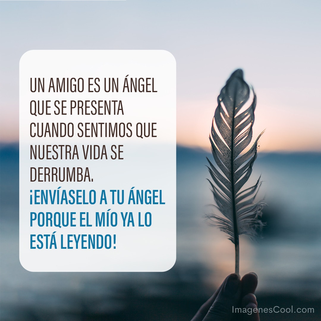 Un amigo es un ángel que se presenta cuando sentimos que nuestra vida se...