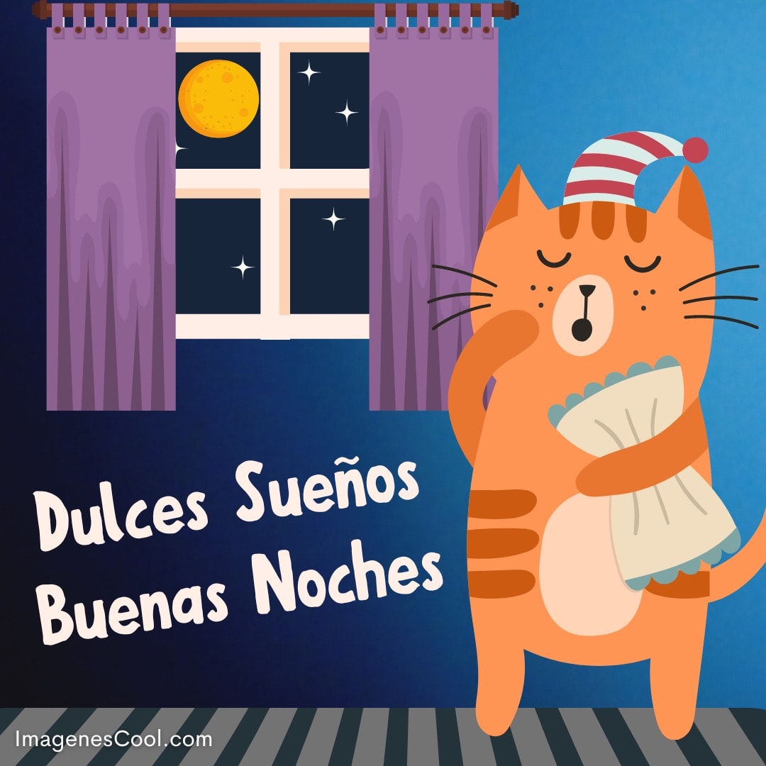 gato con pijama abraza una almohada, ventana nocturna y la frase dulces sueños buenas noches