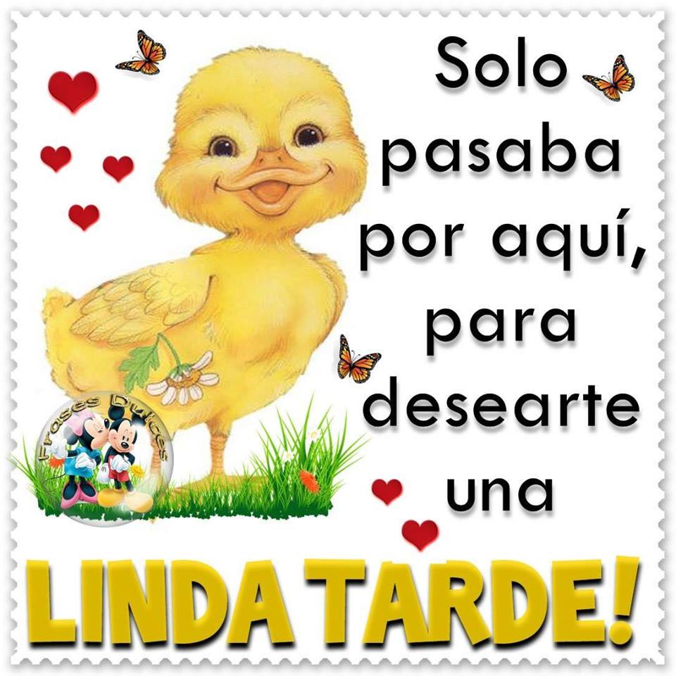 Linda Tarde