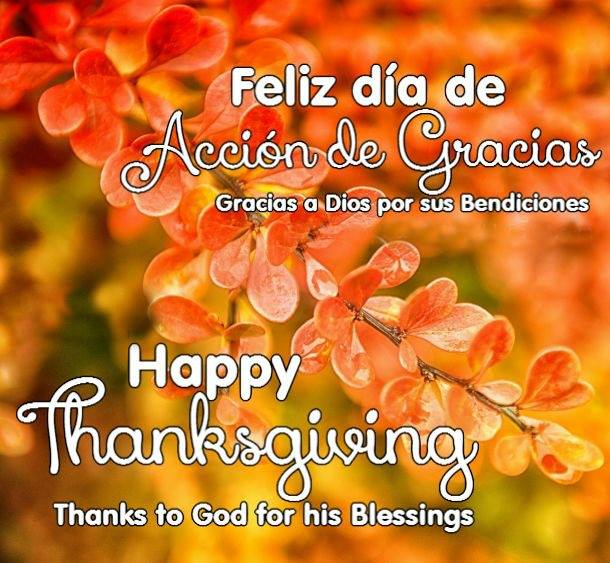 Feliz día de Acción de Gracias, Happy Thanksgiving