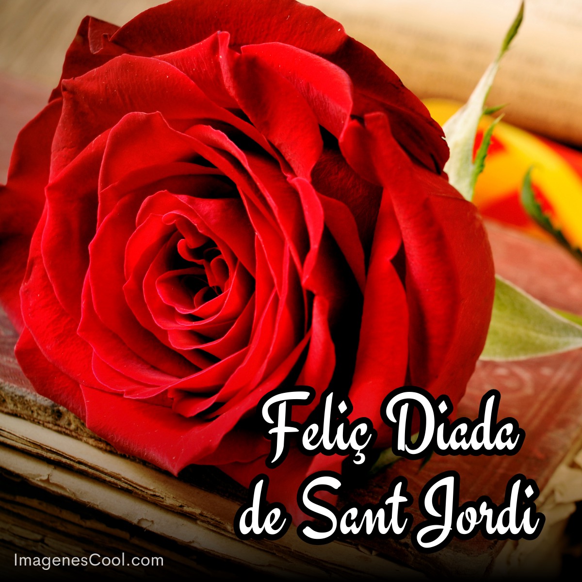 Rosa roja sobre libros con texto 'Feliz Día de Sant Jordi'