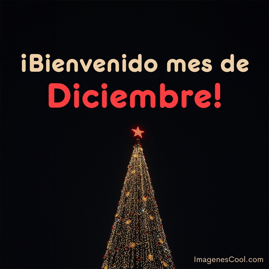 Árbol navideño iluminado con un texto que dice ¡Bienvenido mes de Diciembre!