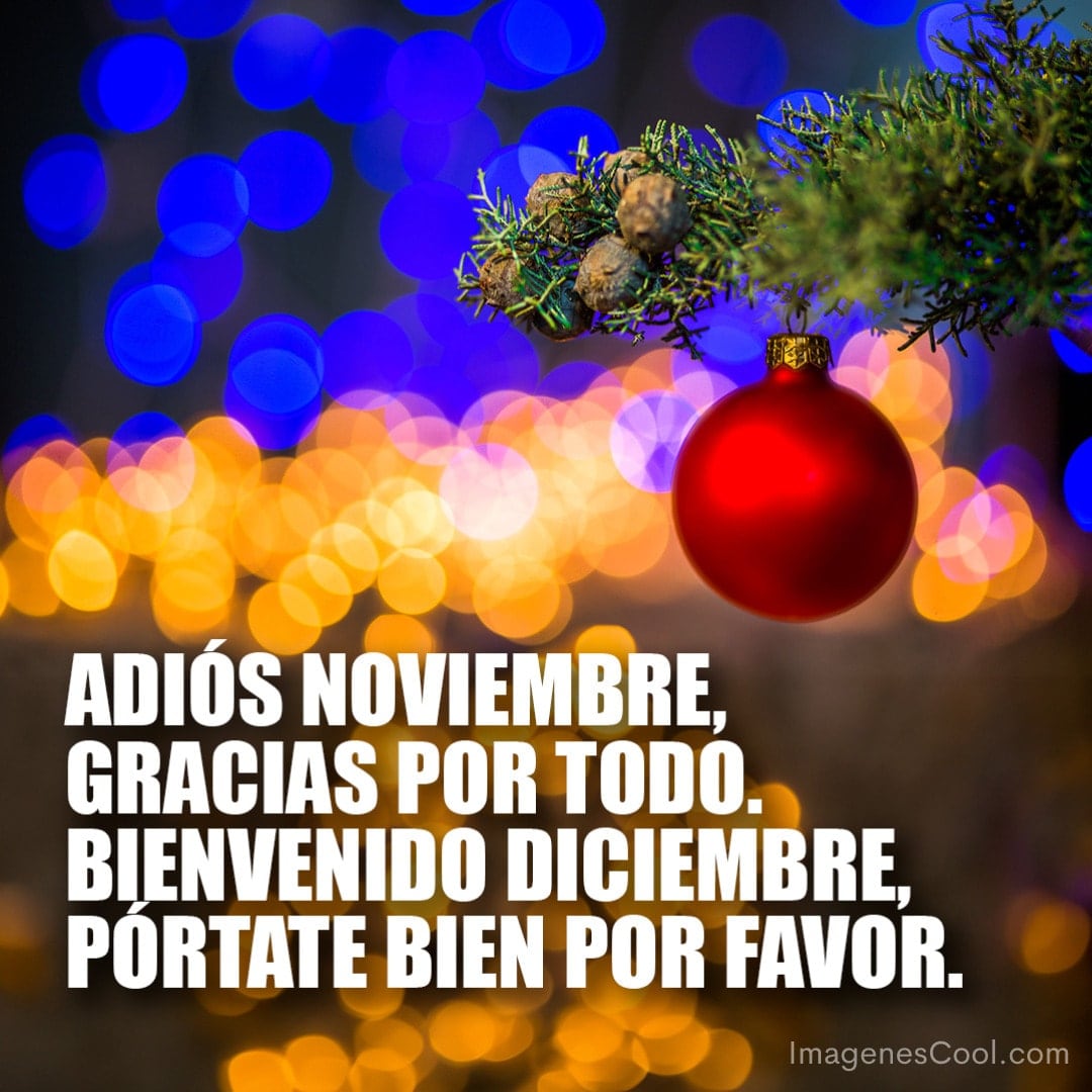 Luces festivas de fondo, rama de árbol con adorno navideño y texto deseando bienvenida a diciembre