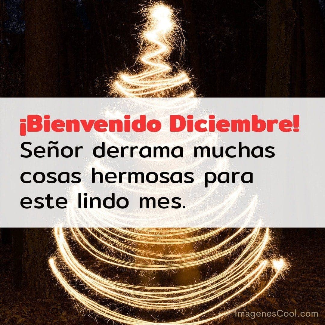 Árbol de Navidad luminoso con texto que da la bienvenida a diciembre y desea cosas hermosas