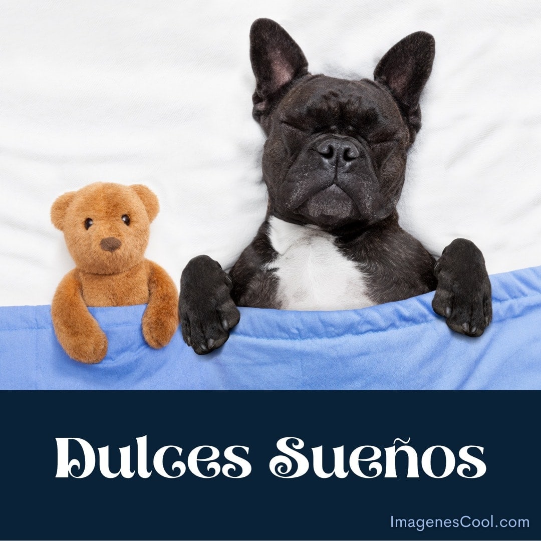 Un perro y un oso de peluche en cama con las palabras 'Dulces Sueños' abajo