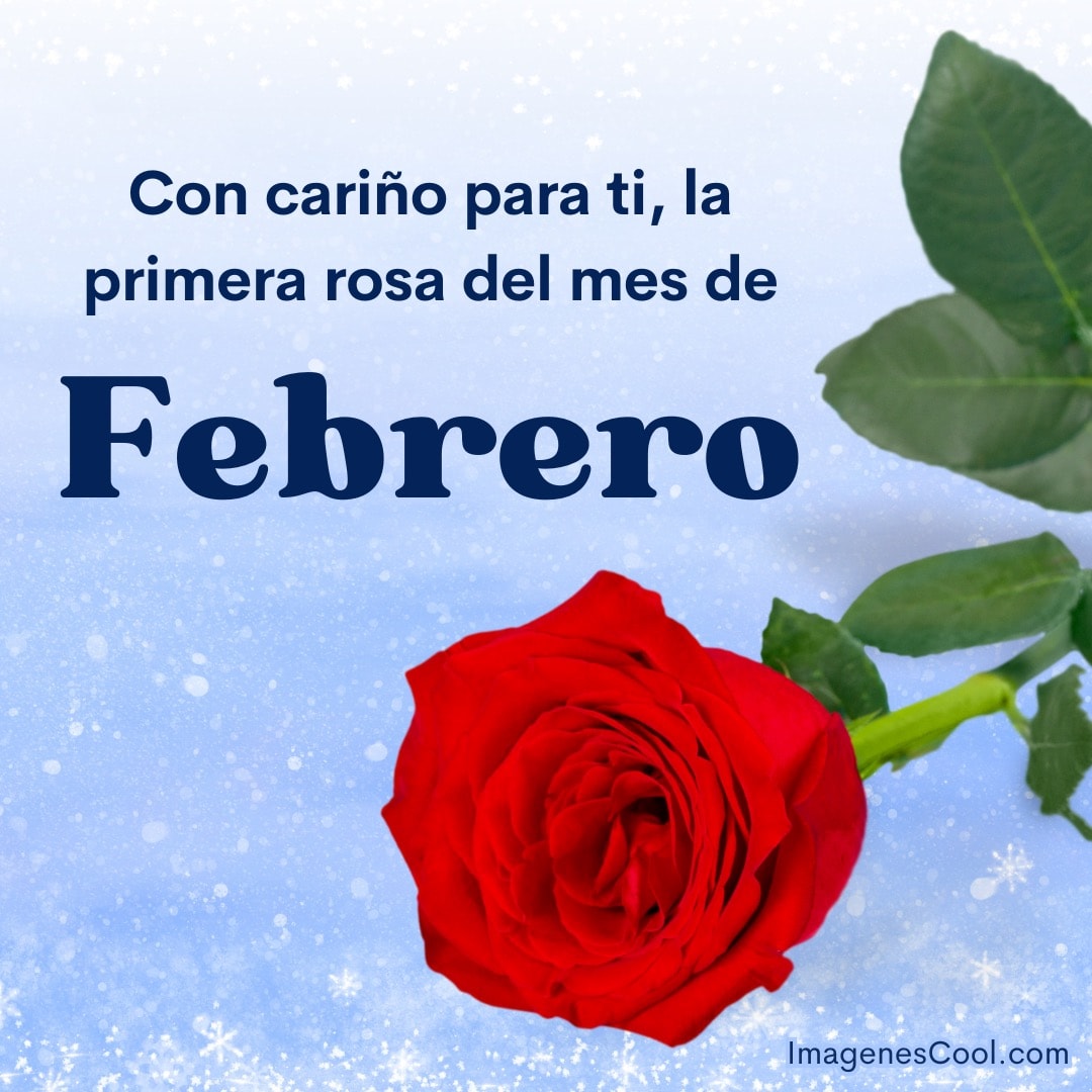 Rosa roja con texto que dice Con cariño para ti, la primera rosa del mes de Febrero sobre fondo nevado