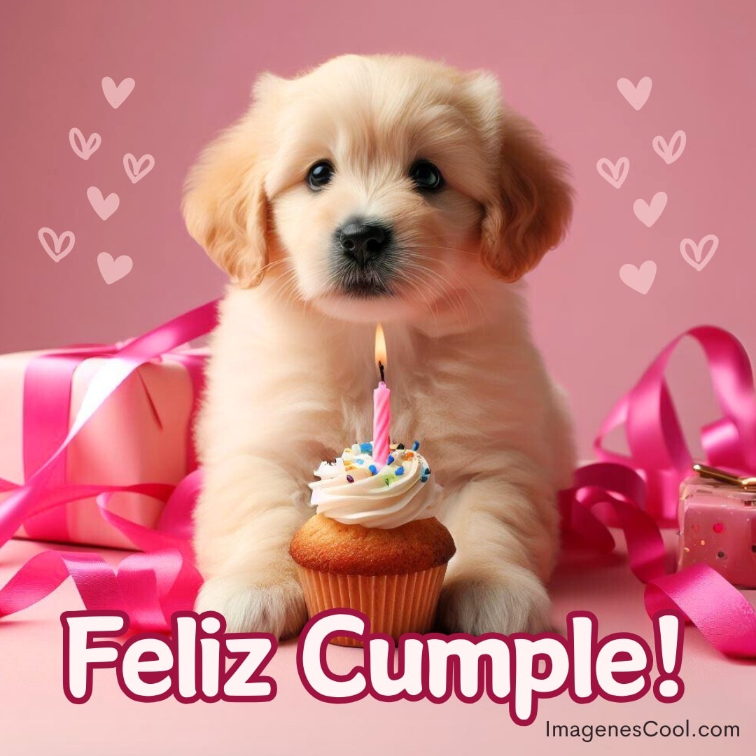Un cachorro con un pastelito de cumpleaños y una vela, fondo rosa, texto Feliz Cumple