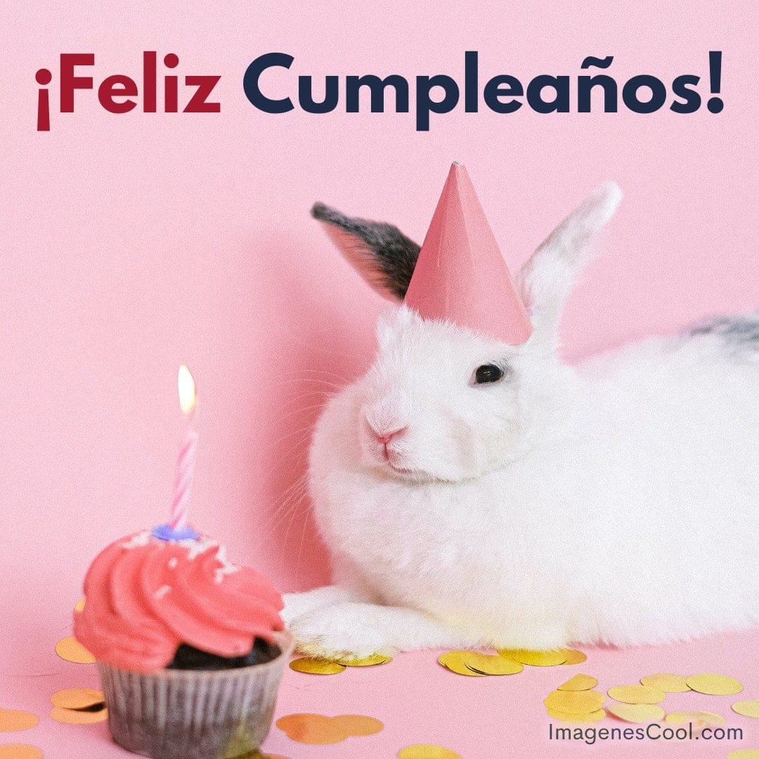 Un conejo blanco con un gorro de fiesta y un cupcake con vela. ¡Feliz Cumpleaños! arriba