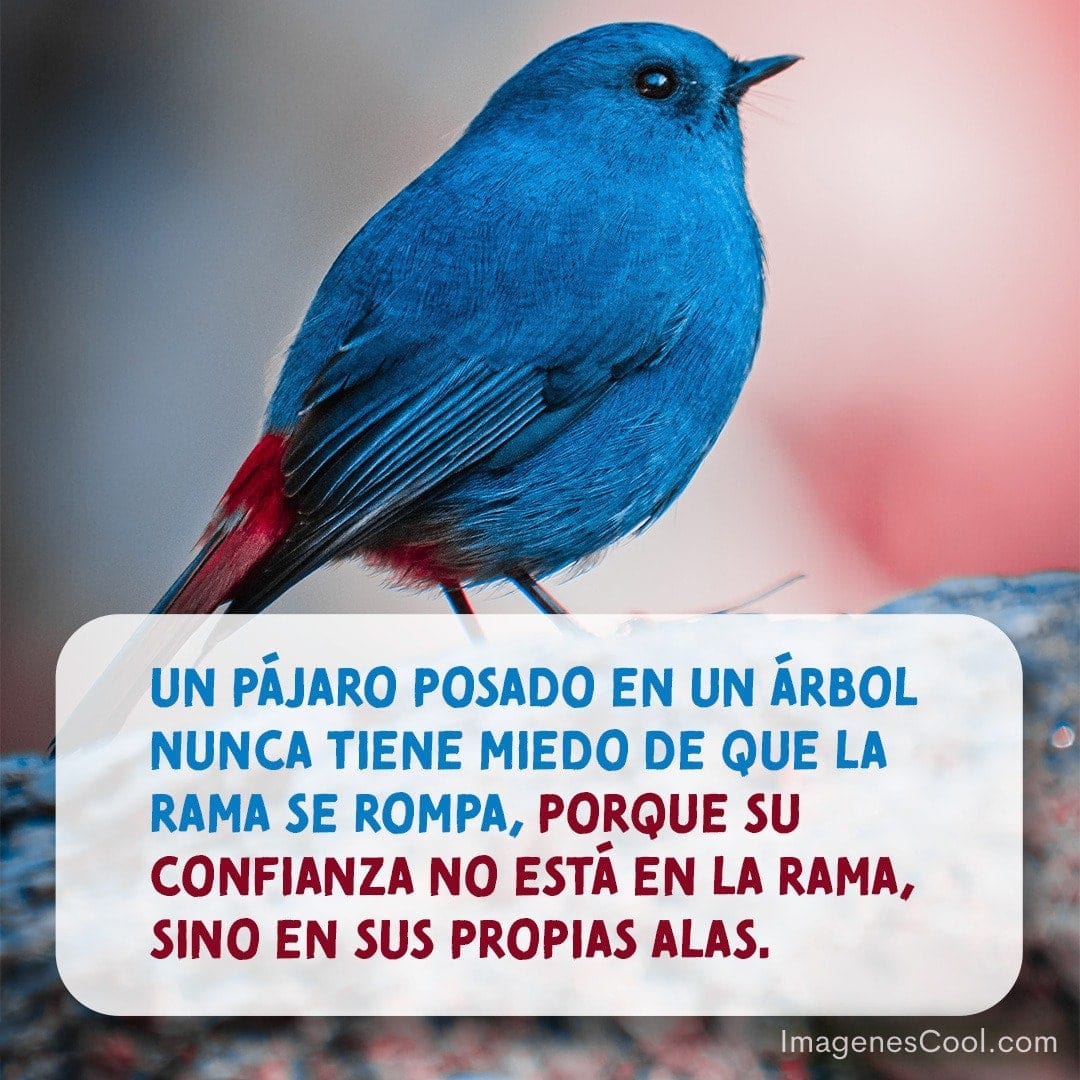 Un pájaro azul con texto motivacional