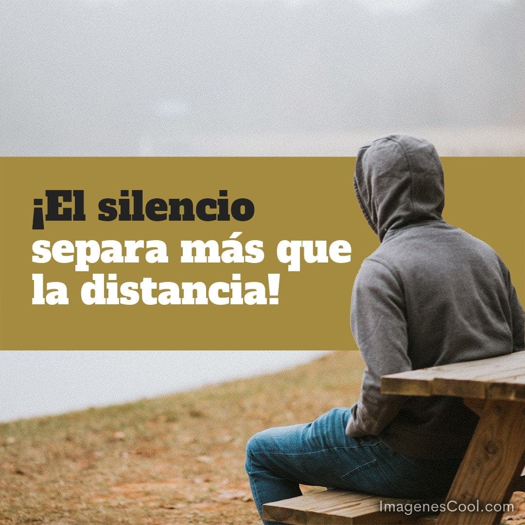 Una persona de espalda, sentada en un banco con capucha y un mensaje ¡El silencio separa más que la distancia!