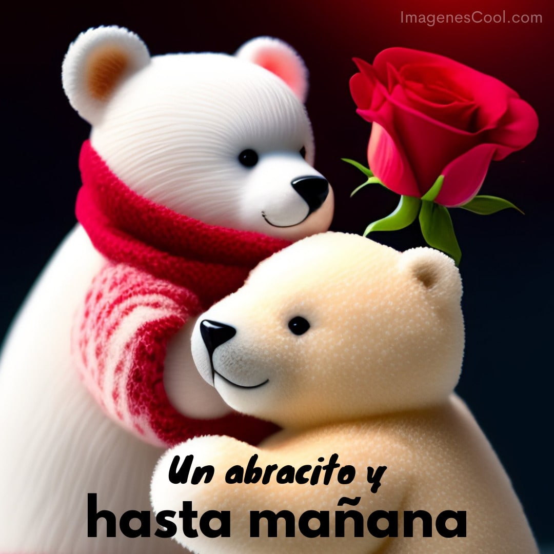 Dos osos de peluche abrazándose, uno sostiene una rosa roja. Texto dice Un abracito y hasta mañana