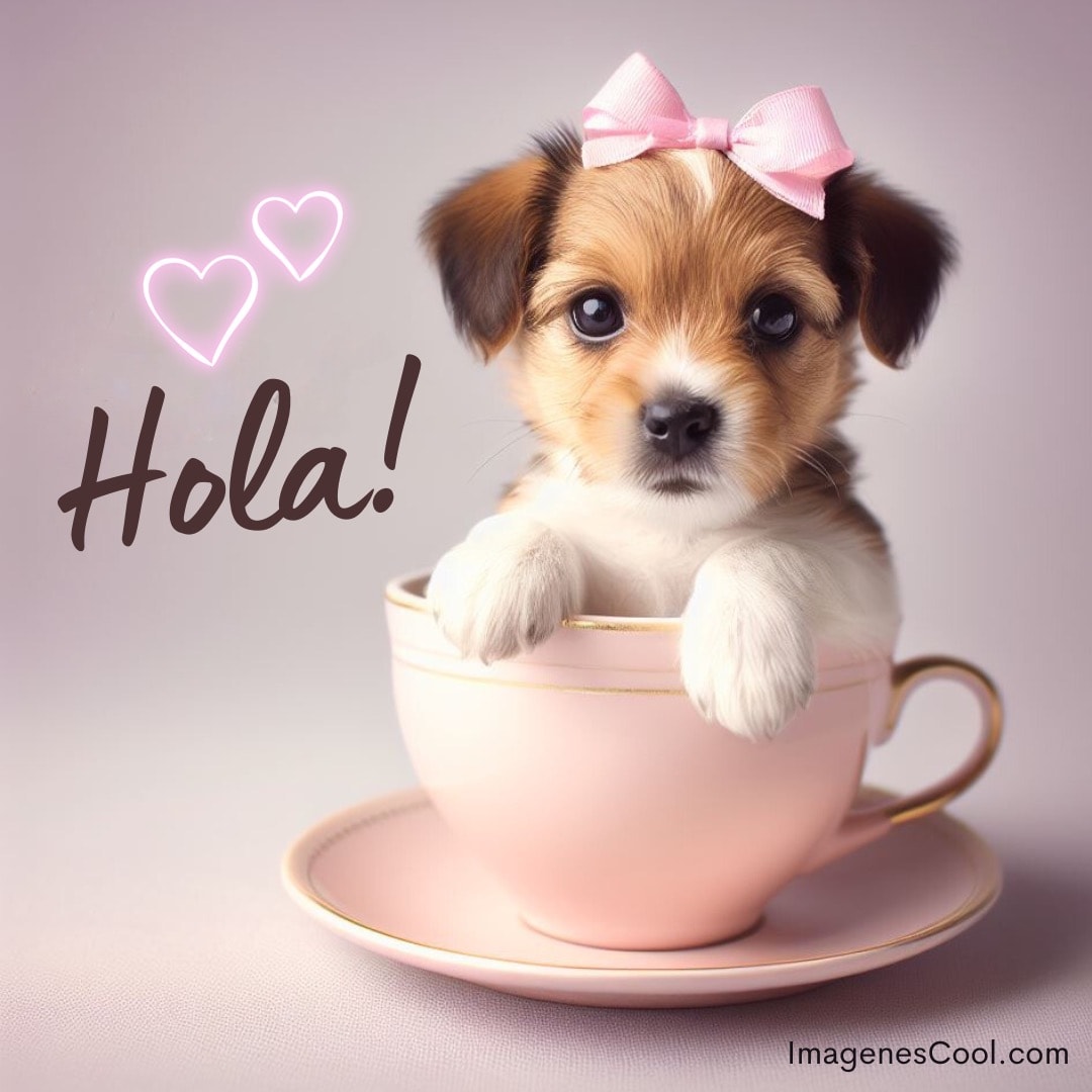 Un cachorro con un lazo rosa dentro de una taza dice Hola! acompañado de corazones
