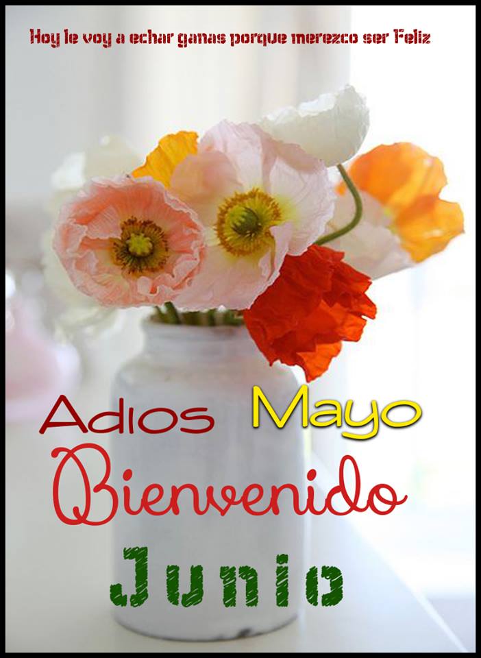 Adiós Mayo, Bienvenido Junio