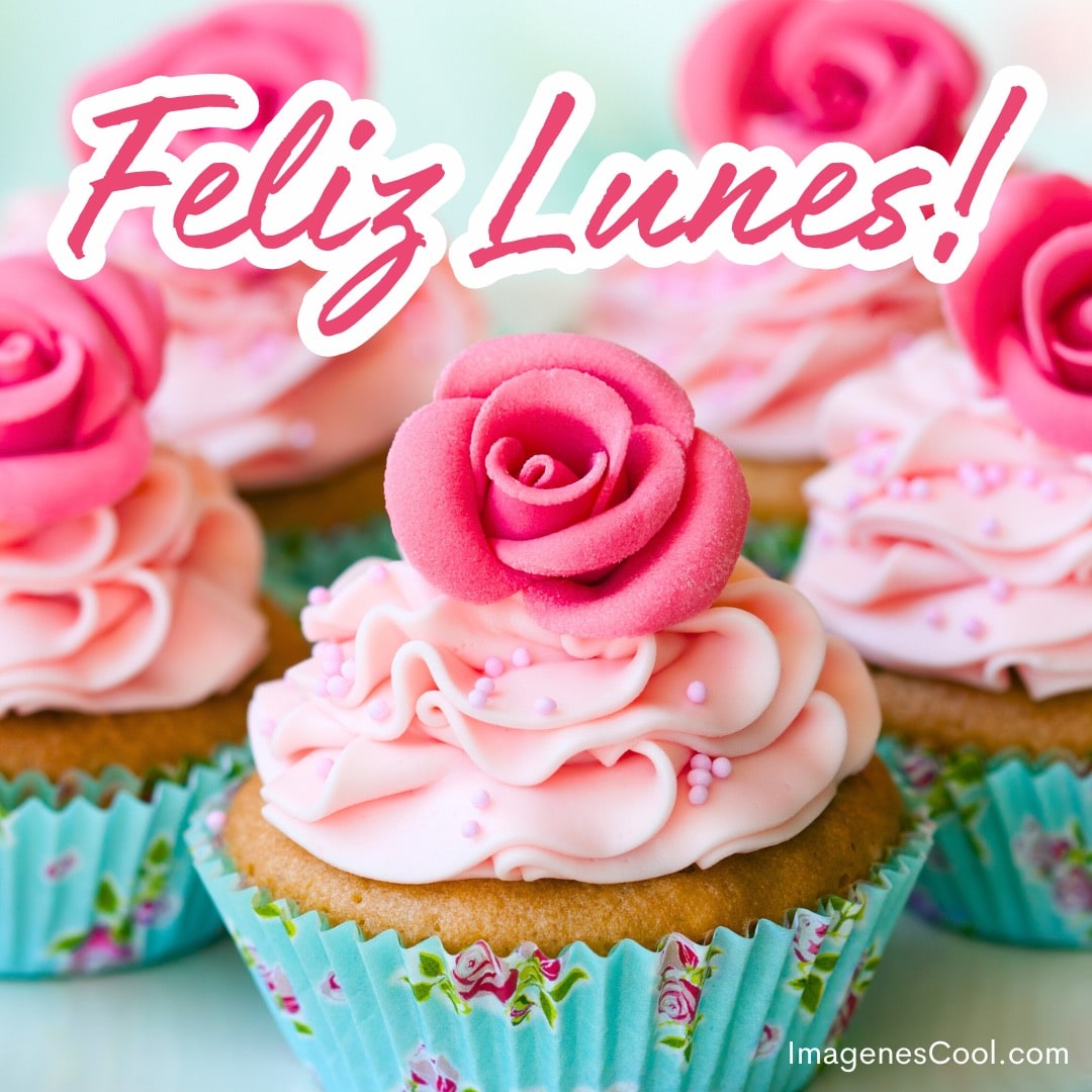 Cupcakes con rosas y decoración rosa y la frase Feliz Lunes! en la parte superior