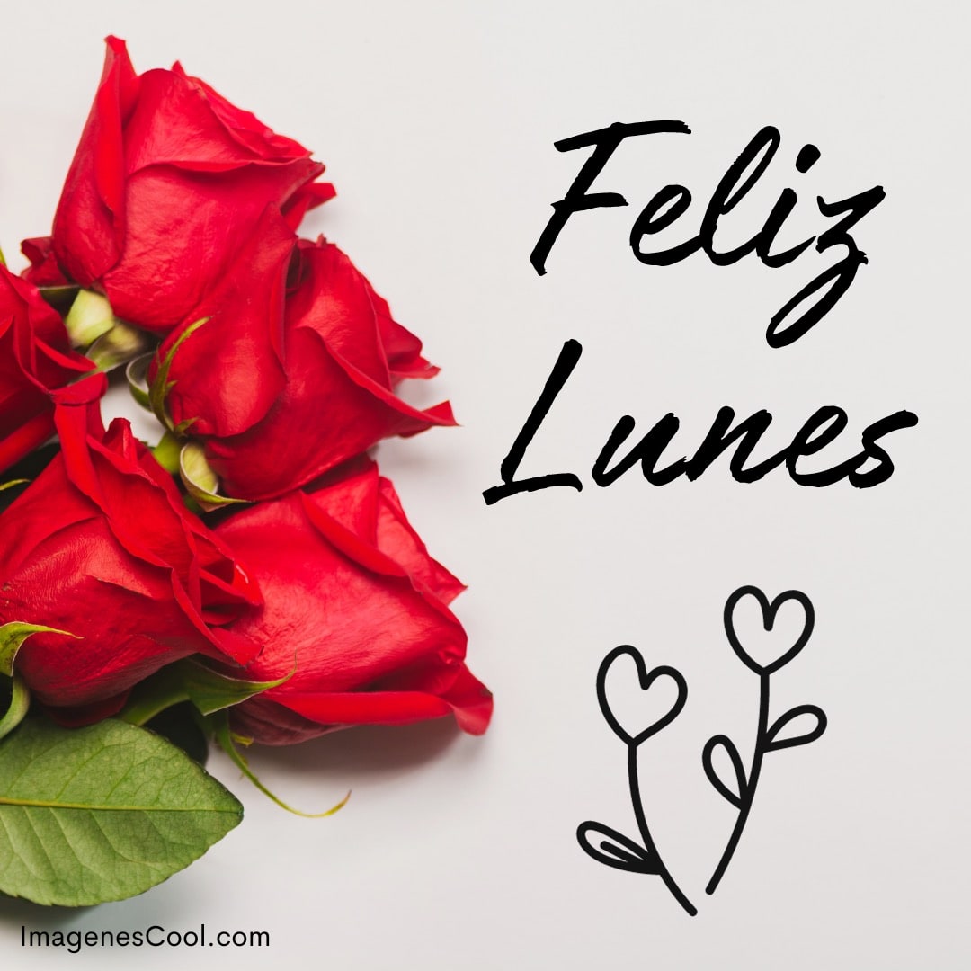 Un ramo de rosas rojas con el texto 'Feliz Lunes' y dibujos de corazones