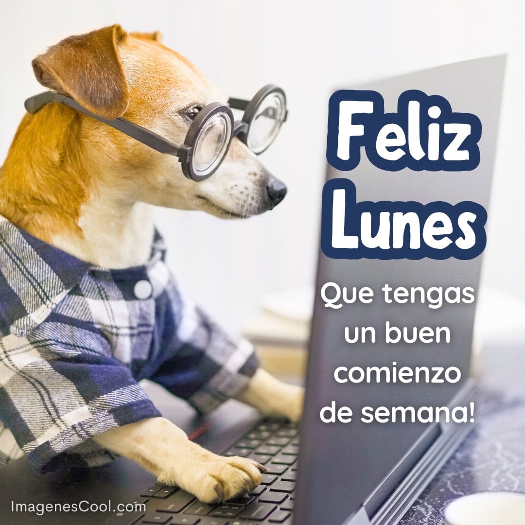 Un perro con gafas frente a un portátil con el mensaje 'Feliz Lunes'