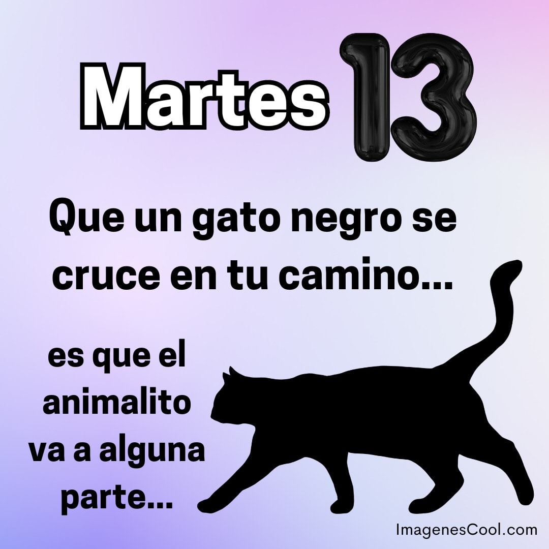 Un gato negro y texto sobre la superstición asociada al Martes 13