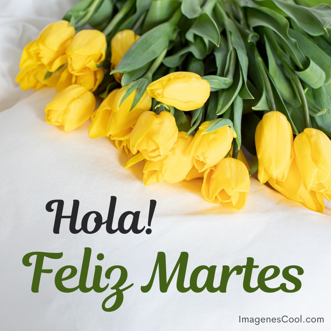 Ramo de tulipanes amarillos con un saludo que dice 'Hola! Feliz Martes'