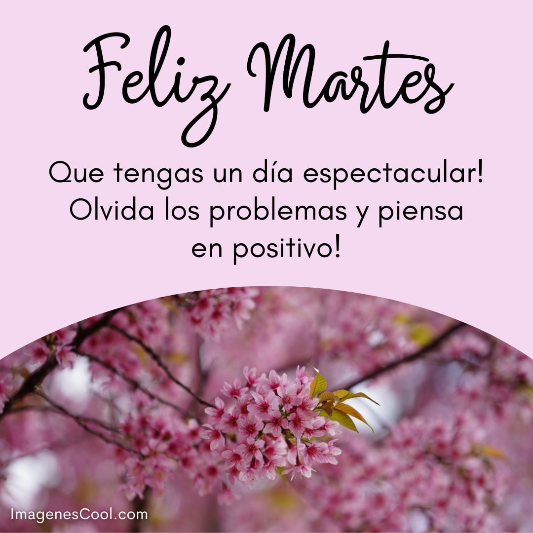 Un mensaje de positividad con flores de cerezo deseando un Feliz Martes y un día espectacular