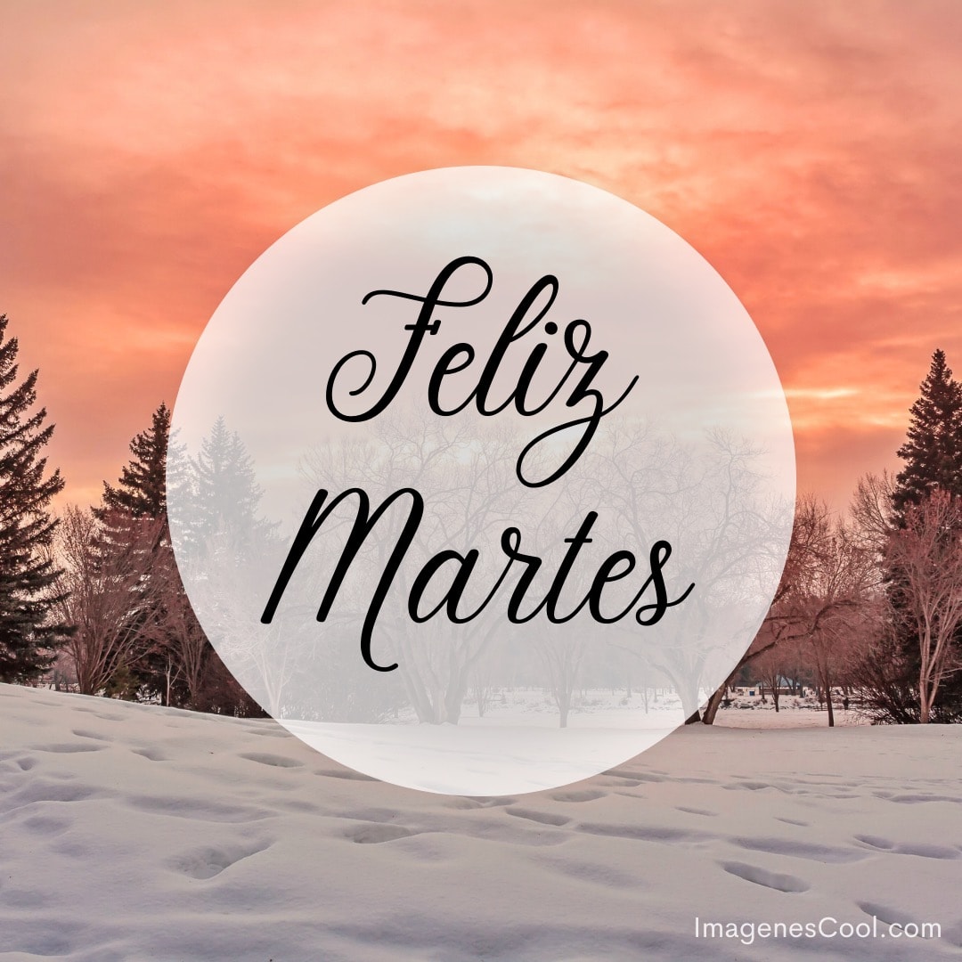 Paisaje invernal con árboles y cielo rosado, y un círculo con 'Feliz Martes' en el centro