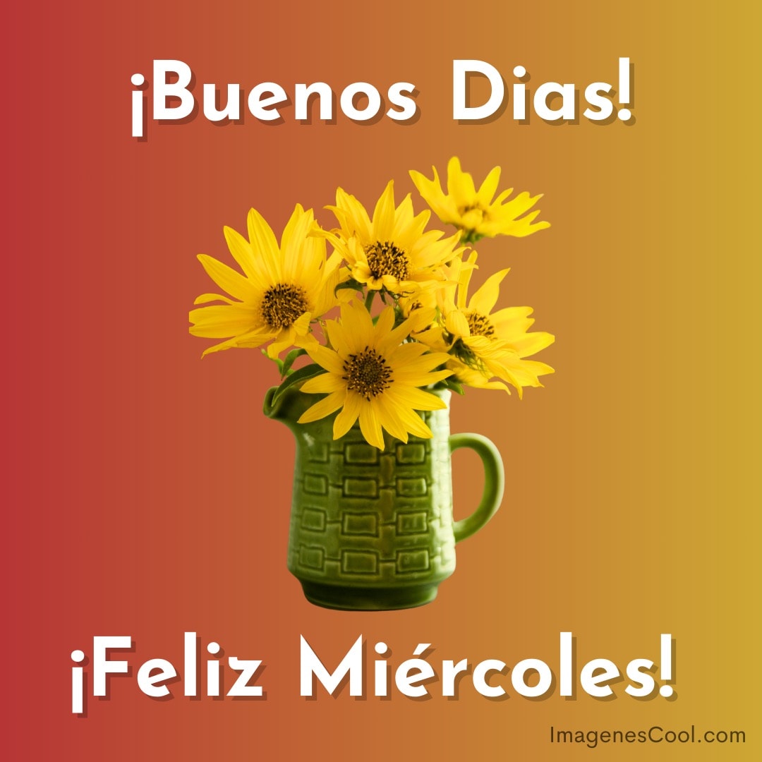 Un jarrón verde con girasoles y los saludos '¡Buenos Días!' y '¡Feliz Miércoles!' sobre fondo naranja