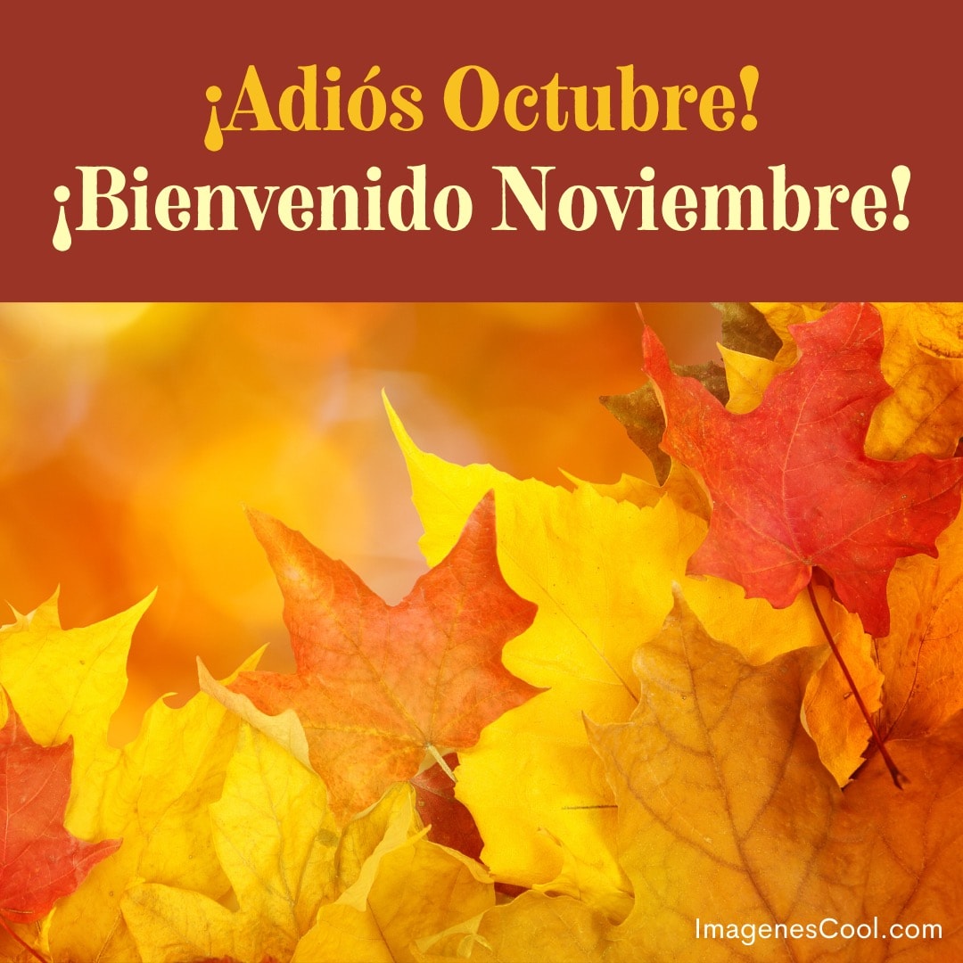 Hojas otoñales con texto que dice '¡Adiós Octubre! ¡Bienvenido Noviembre!' en tonos cálidos