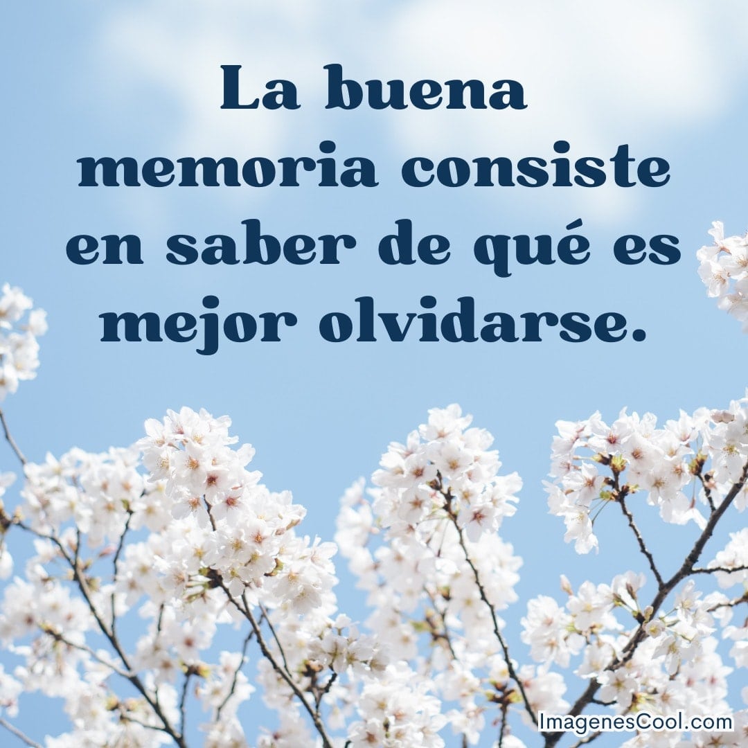 flor de árbol blanco con frase: la buena memoria consiste en saber de qué es mejor olvidarse