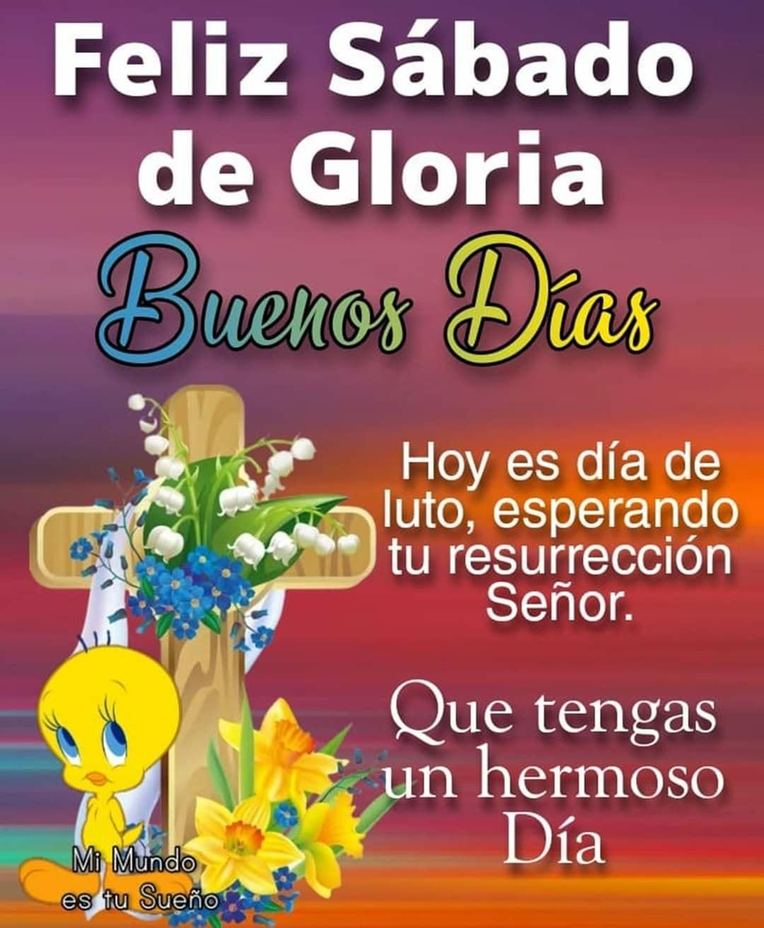 Feliz Sábado de Gloria...