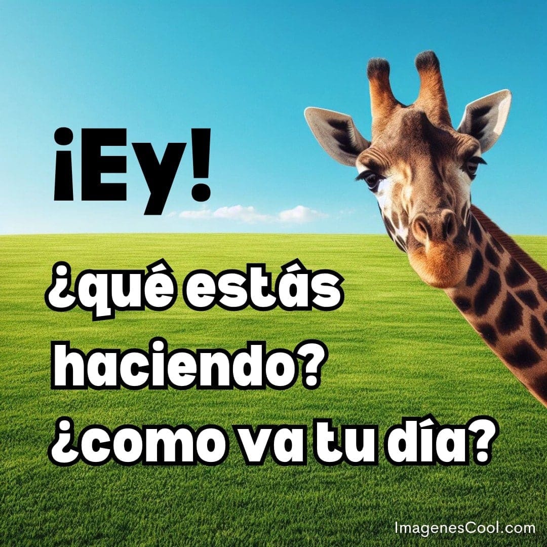 Una jirafa asoma en un campo verde con texto que dice ¡Ey! ¿qué estás haciendo? ¿cómo va tu día?