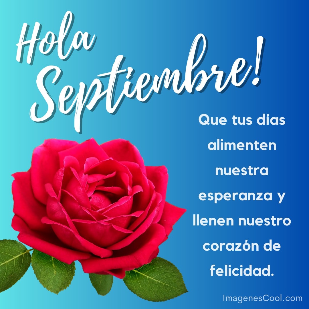 rosa roja con texto hola septiembre y deseos de días llenos de esperanza y felicidad