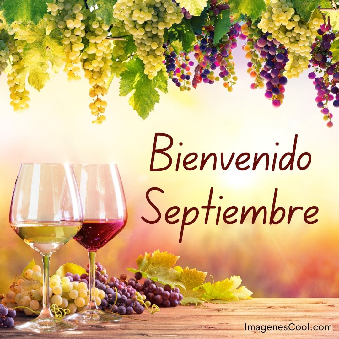 Dos copas de vino, uvas y texto 'Bienvenido Septiembre'