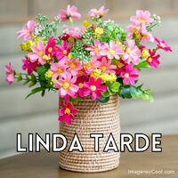 Linda Tarde.