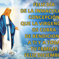 Feliz Día de la Inmaculada Concepción